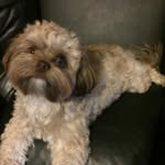 @mason_liles39 - Instagram