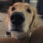 Mason Liles - @mason_liles18 - Instagram