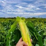 Mason Lin - @yunlinfarm - Instagram