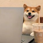 Mason Lin - Facebook