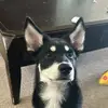 Mason Lippolis - @mason.lippolis - TikTok