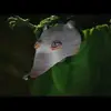 Mason Luker909 - @myname_is_your_mom - TikTok