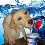 Mason Luker - Facebook