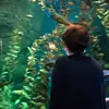 Mason - @mason.lundstrom - TikTok