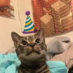 Mason Lyles - @mason_955955 - Instagram