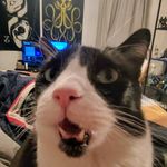Mason Lyons - @_masonlyons - Instagram
