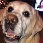 Mason🐾 - @masonmaher9 - Instagram