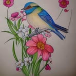 Mason Mapes - Facebook
