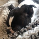 Masonmarcellussier - @masonmarcellussier - Instagram