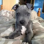Mason Marquez - @masonmarquez21 - Instagram