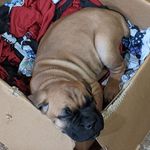 Mason Masters - @mason.masters.10485 - Instagram