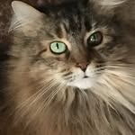 Mason mathews - @masonmathews714 - Instagram