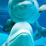 Mason Mathews - @ahaimjoking - Instagram