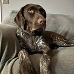Mason Mayer - @mason_mayer_ - Instagram