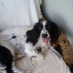 @mason_mayes2006priv - Instagram