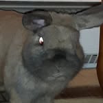 Mason Mayes - @big_boi_mason_ - Instagram