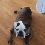 Mason Mayo - @mason.mayo.587 - Instagram
