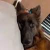 Mason Mazerolle - @mason.mazerolle - TikTok
