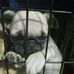 Mason McCarter Ladd - Facebook