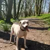 Mason Mccarthy - @mason.mccarthy6 - TikTok