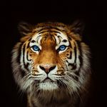 Mason McClain - @pyudk - Instagram