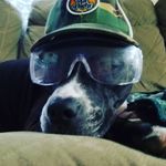 Mason mcclain - @masonmule45 - Instagram