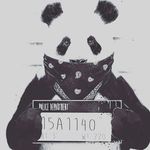 mason mccullough - @masonmccullough48 - Instagram
