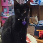 mason mcdo - @mason.mcdonnell - Instagram