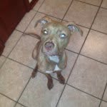 Mason McGee - @stinky_mason - Instagram