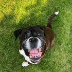 Mason McGrath - Facebook