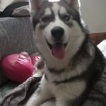 Mason riley mcgrath - @mcgrathmasonriley - Instagram