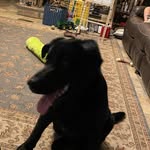 Mason McGraw - @mason_mcgraw14 - Instagram