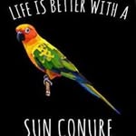 Mason McLaughlin - @mason_mclaughlin__ - Instagram