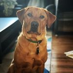 Mason Meade - @masondmeade - Instagram