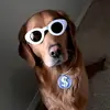 Mason Meadows - @mason.meadows86 - TikTok