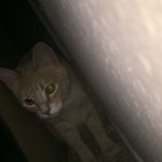 Mason Meeks - @mason.meeks.0 - Instagram