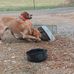 Mason Meeks - Facebook
