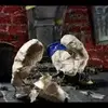 mason mello - @mason.mello6 - TikTok