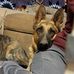 Mason Menard - Facebook
