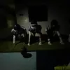 masonmesner_ - @masonmesner_ - TikTok