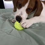 Mason Messick - Facebook