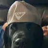 Mason Meyer - @mason.meyer926 - TikTok