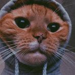 Mason Miranda Gomez - Facebook