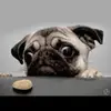 mason - @masonmoo1812 - TikTok