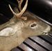 Mason Moorse - Facebook