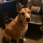 Mason Morse - @mason_morse123 - Instagram