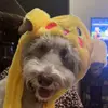 Mason Morse - @masofkc - TikTok