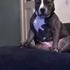 masonmullins663 - @masonmullins663 - TikTok
