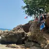 Newell - @mason.newell5 - TikTok