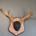 Mason Nickerson - Facebook